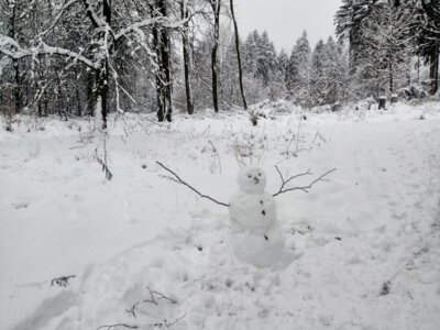 Ein M&auml;nnlein steht im Schnee  (Bild vergr&ouml;&szlig;ern)