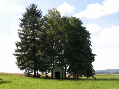 2005 08 28 Marienkapelle, ehemalige Bepflanzung  (Bild vergr&ouml;&szlig;ern)