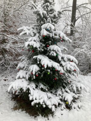 Fast wie Weihnachten  (Bild vergr&ouml;&szlig;ern)