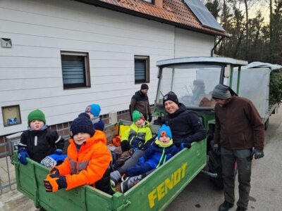Foto des Albums: Christbaumsammelaktion