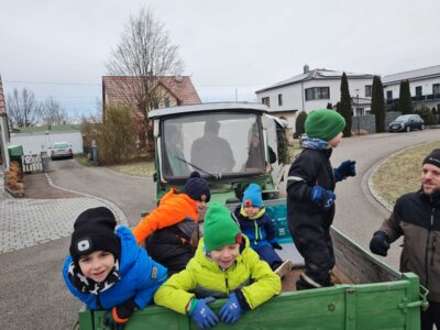 Foto des Albums: Christbaumsammelaktion