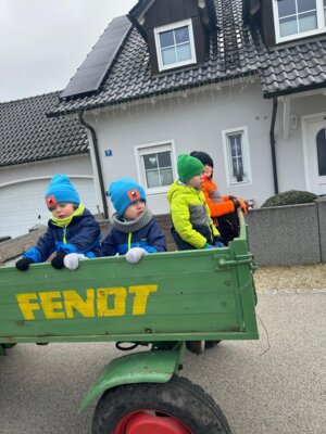 Foto des Albums: Christbaumsammelaktion