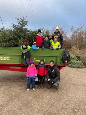 Foto des Albums: Christbaumsammelaktion
