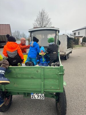 Foto des Albums: Christbaumsammelaktion