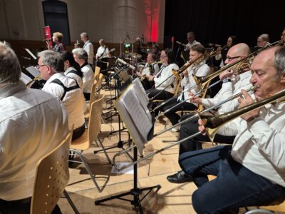 2025 Cocktailkonzert SW (8) 