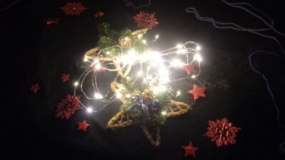 Unsere Weihnachtsgeschenke waren geheimnisvoll und glitzernd verziert.  (Bild vergr&ouml;&szlig;ern)