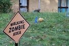 Foto des Albums: Halloweentunier 2021 & 2022