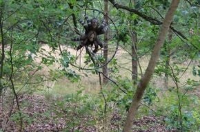 Foto des Albums: Bilder aus dem Parcours an der Havelchaussee