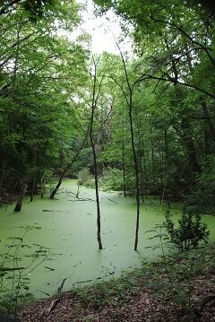 Foto des Albums: Bilder aus dem Parcours an der Havelchaussee