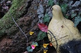Foto des Albums: Eine kleine Auswahl von unseren 3D Tieren