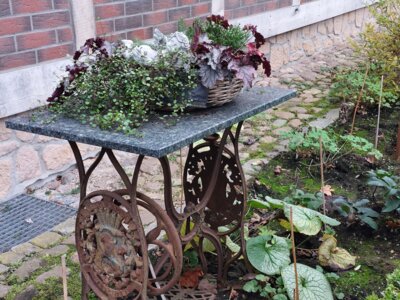 Foto des Albums: Rosen-Frauen basteln in Perleberg (17.11.2024)