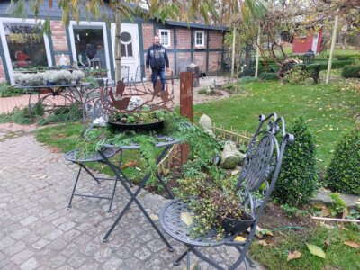 Foto des Albums: Rosen-Frauen basteln in Perleberg (17.11.2024)