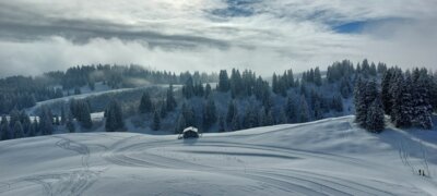 Foto des Albums: 1. Schneesportschulsonntag 2025
