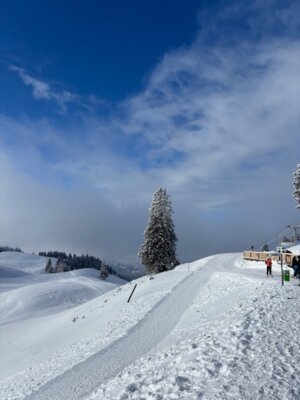 Foto des Albums: 1. Schneesportschulsonntag 2025