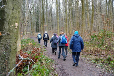 Gehrdener Wald  (Bild vergr&ouml;&szlig;ern)