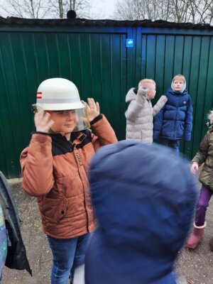 Foto des Albums: Bilder des Monats Januar 2025