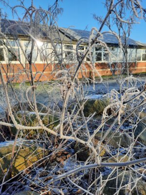 Foto des Albums: Bilder des Monats Januar 2025