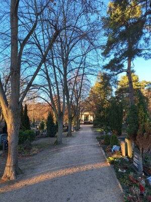 Fotoalbum Winterspaziergang im Januar 2025