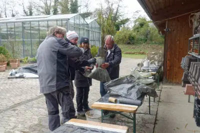 Wildstr&auml;ucher-Verschenkaktion in Schliengen, Bad Bellingen und Kandern.  (Bild vergr&ouml;&szlig;ern)