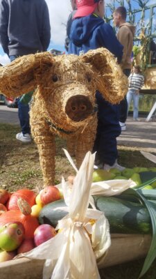 Foto des Albums: Erntefest Tessenow