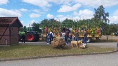 Foto des Albums: Erntefest Tessenow
