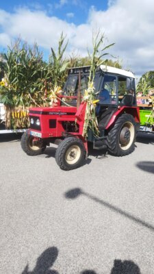 Foto des Albums: Erntefest Tessenow