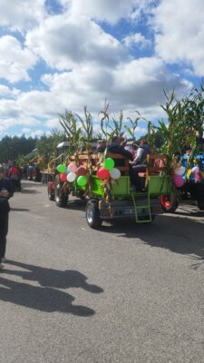 Foto des Albums: Erntefest Tessenow