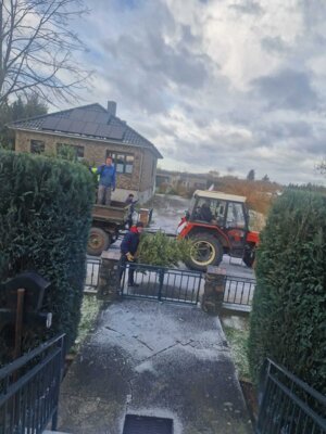 Foto des Albums: Neujahrsfeuer Marnitz