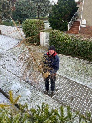 Foto des Albums: Neujahrsfeuer Marnitz