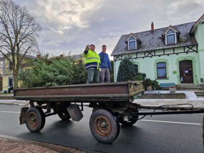 Foto des Albums: Neujahrsfeuer Marnitz