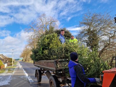 Foto des Albums: Neujahrsfeuer Marnitz