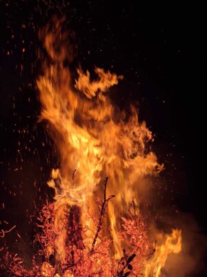 Foto des Albums: Neujahrsfeuer Suckow