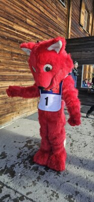 Foto des Albums: 2. Schneesportschulsonntag 2025