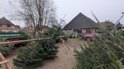 Foto des Albums: Adventsmarkt Marnitz 2024