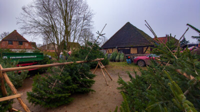 Foto des Albums: Adventsmarkt Marnitz 2024