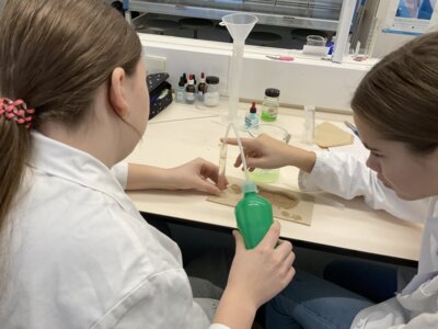 Foto des Albums: Werkstatttage Klasse 8 - SJ 24/25
