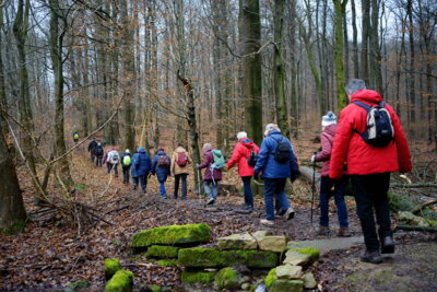 Im Gro&szlig;en Deister -2  (Bild vergr&ouml;&szlig;ern)