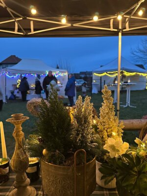 Foto des Albums: Weihnachtsmarkt 2025