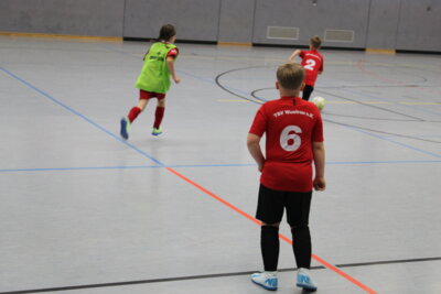 Foto des Albums: 8. Rohde Cup E2-Junioren