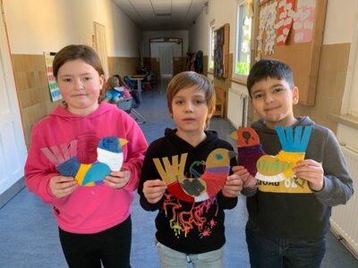 Foto des Albums: Textil Klasse 3
