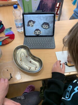 Foto des Albums: Textil Klasse 3