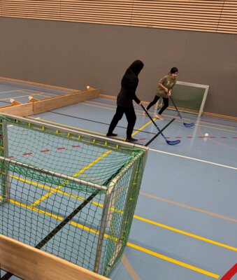 Foto des Albums: Olympische Winterspiele in der Sporthalle