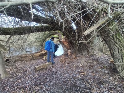 ... oder?  (Bild vergr&ouml;&szlig;ern)