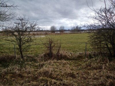Blick zur Eichkoppel  (Bild vergr&ouml;&szlig;ern)