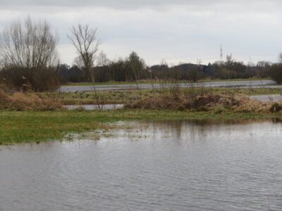 Grasdorfer Seenlandschaft  (Bild vergr&ouml;&szlig;ern)