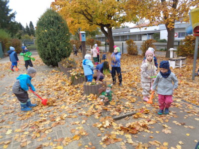 Foto des Albums: Herbst (15.​10.​2024)