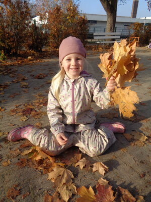 Foto des Albums: Herbst (15.​10.​2024)