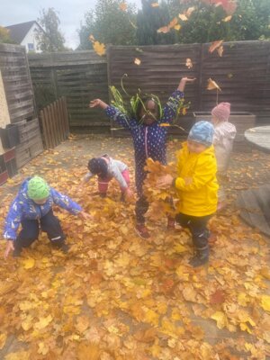 Foto des Albums: Herbst (15.​10.​2024)