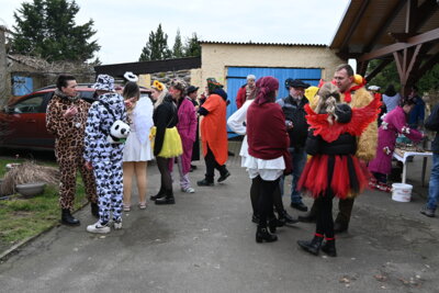 Foto des Albums: Zampern 2025