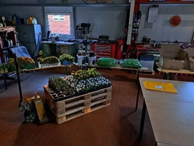 Vorbereitungen.....bei Bodes in der Halle  (Bild vergr&ouml;&szlig;ern)